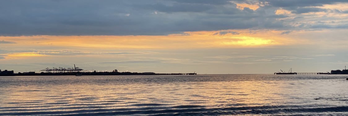ü's banner