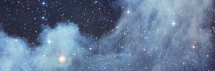 Sleeping Collie || ⋆‧°𓏲ּ𝄢's banner
