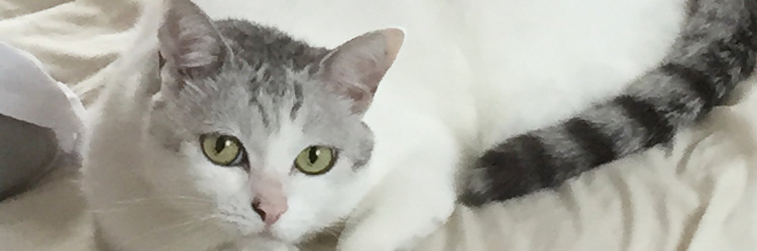 ただおさん's banner