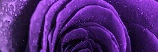 Black Demom's banner