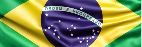 Brasileiro anti comunista's banner