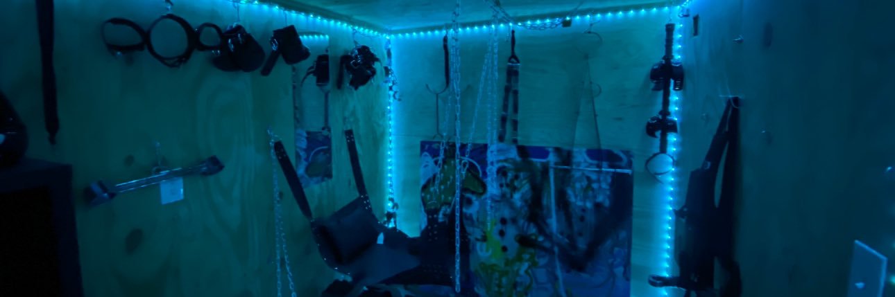 AZPupZoey's banner