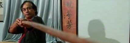 香港詠春拳東京練習会's banner