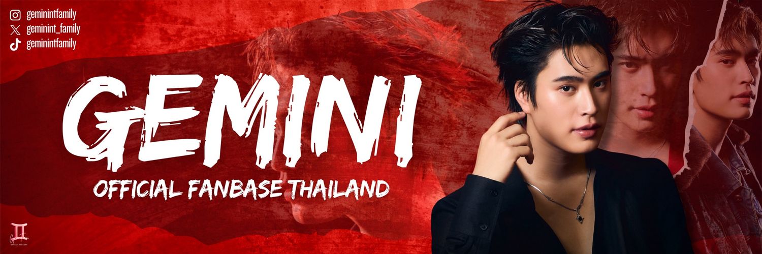 Geminint_Family's banner