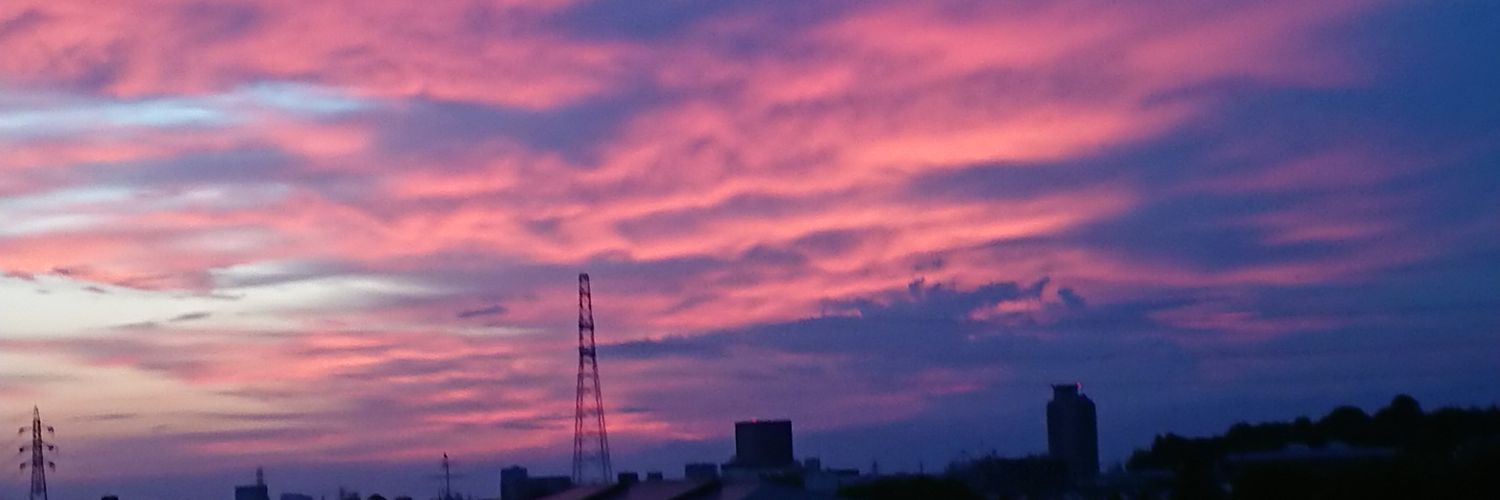 いさきん【相互フォロー】's banner