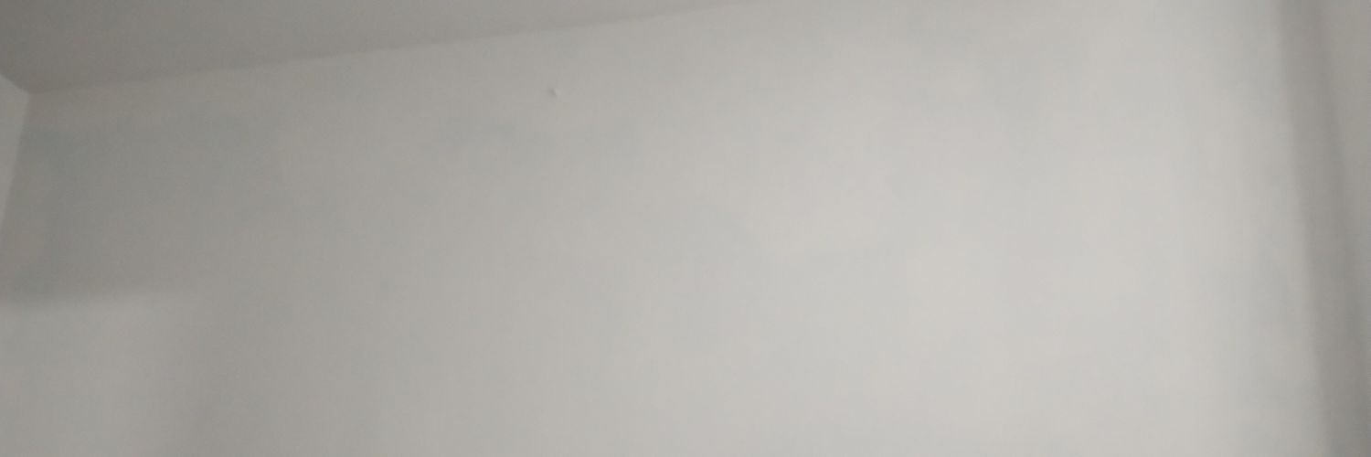 Gordo limeño 🧐's banner