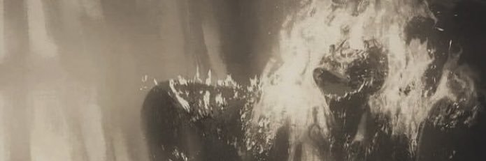 $INA's banner