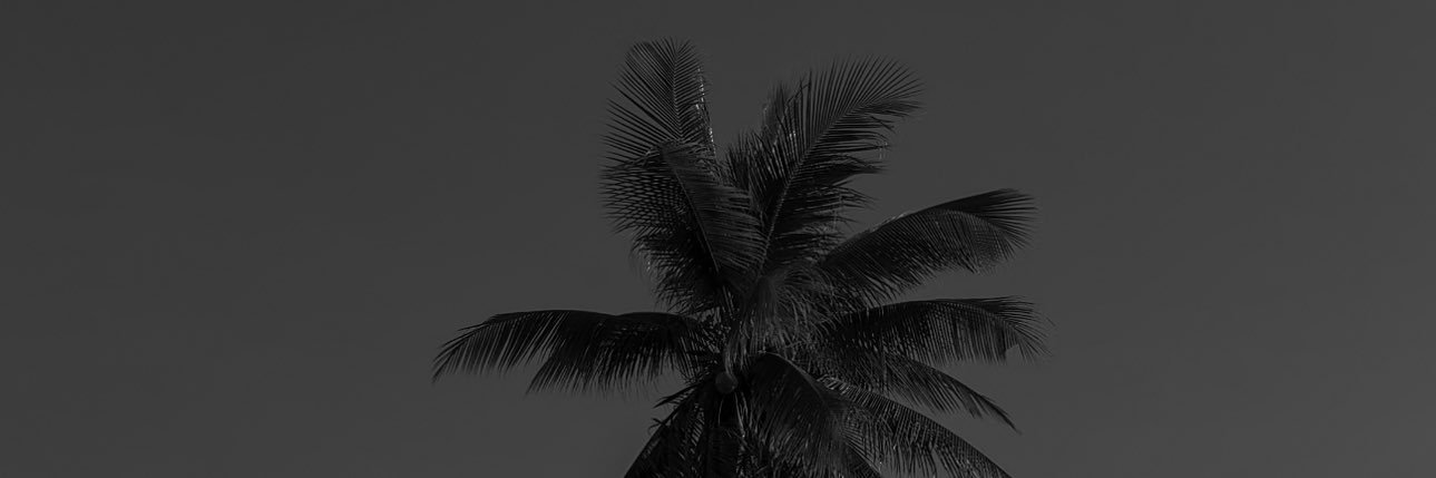 DEX's banner