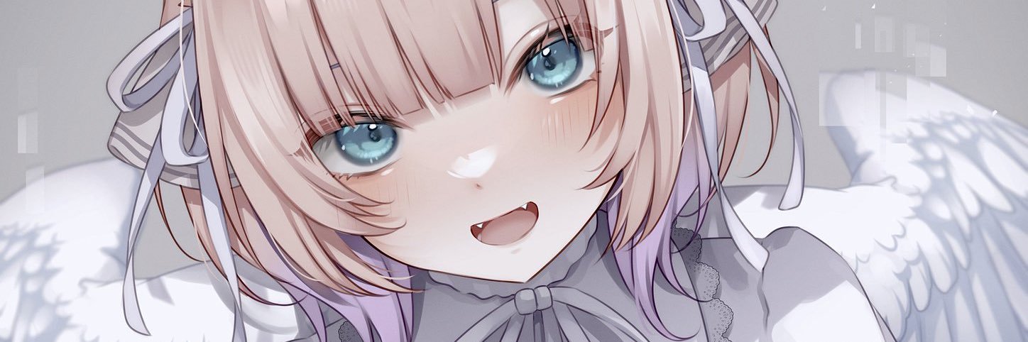 NKZM's banner