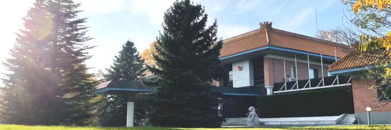 Chinese Embassy in Sweden's banner
