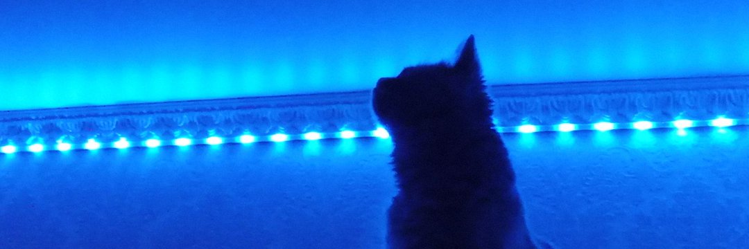 τριπλό άξελ's banner