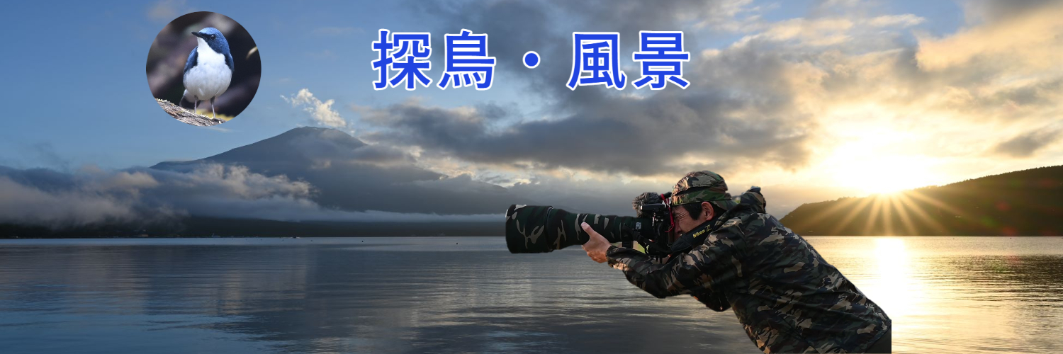 自然を愛する登山バーダー's banner