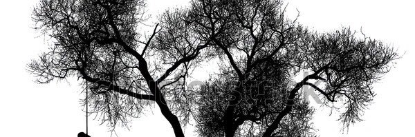 Бабс's banner