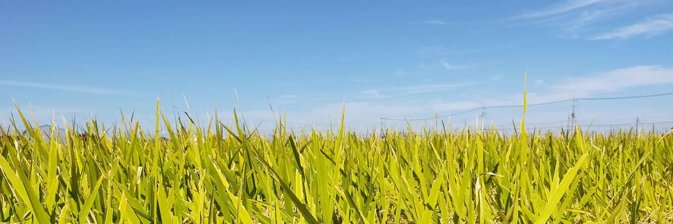 古賀氏郷（仮）'s banner