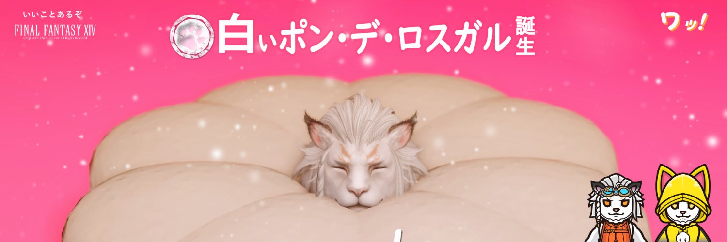 Sol Leone's banner