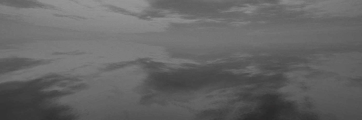 PolyCube 🦆's banner