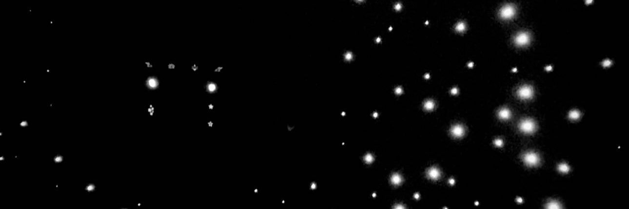 VALLI's banner