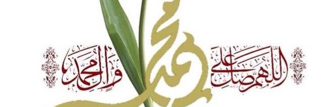 الطير المسافر(علاء)'s banner