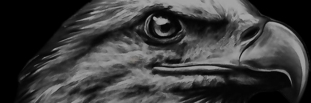 MonuMental_MadNess's banner