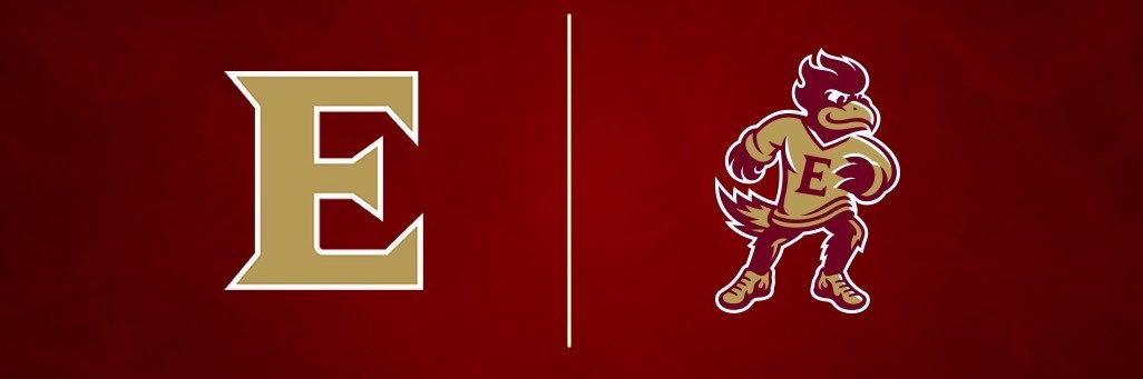 Elon Phoenix's banner