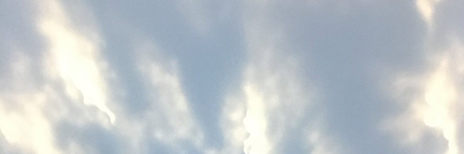 cekay's banner
