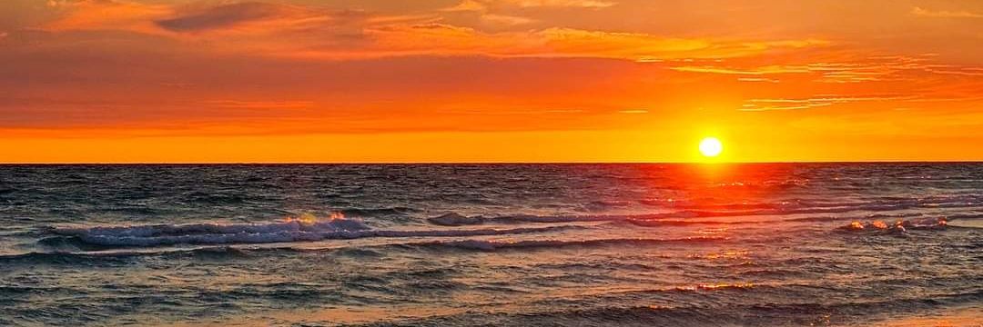 S@ltyS♡ul🐬🏖's banner
