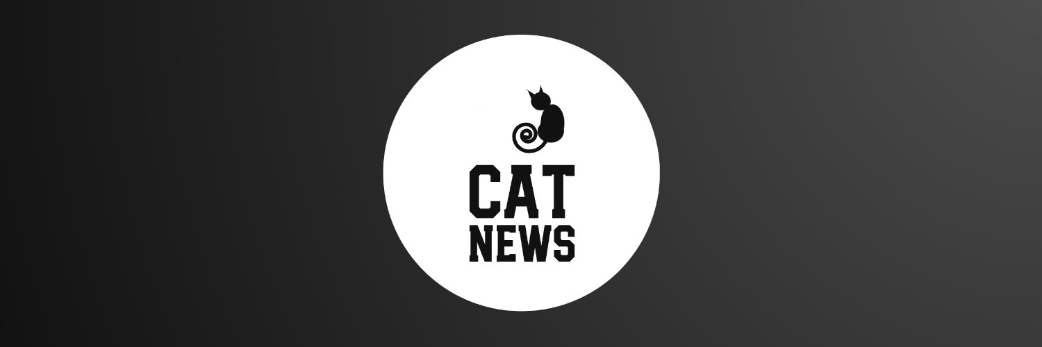 CAT NEWS's banner