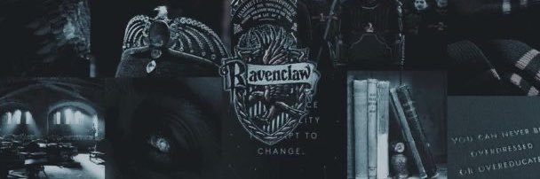 Taísa.'s banner
