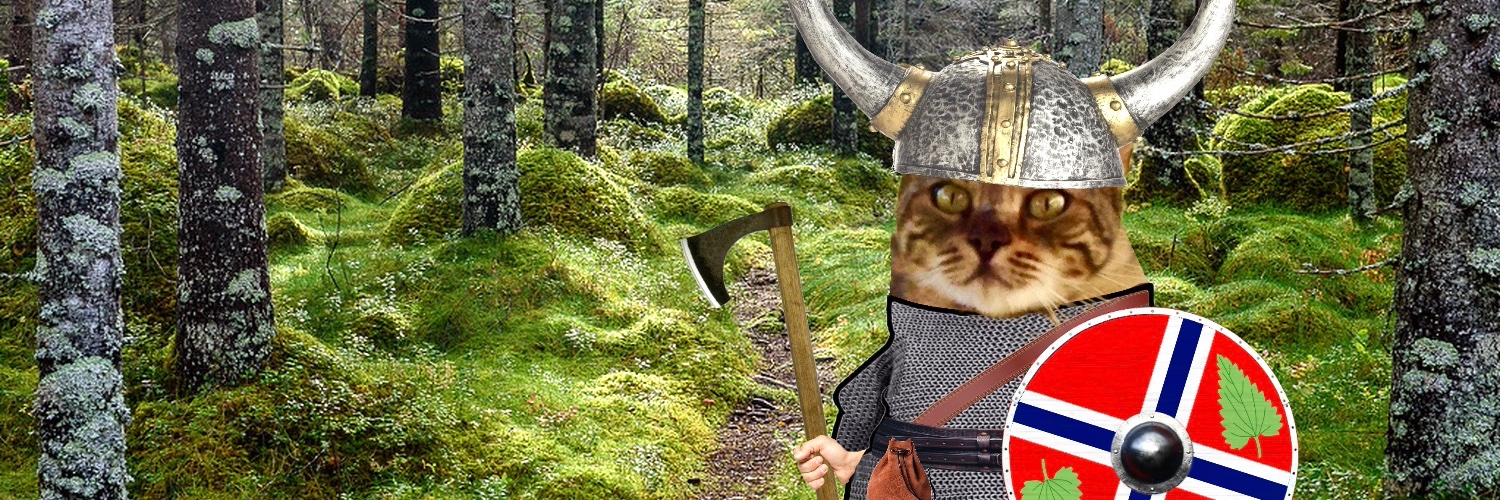 🥥🌴Lars the Viking 🇳🇴🇺🇦 #NAFOCatsDivision's banner