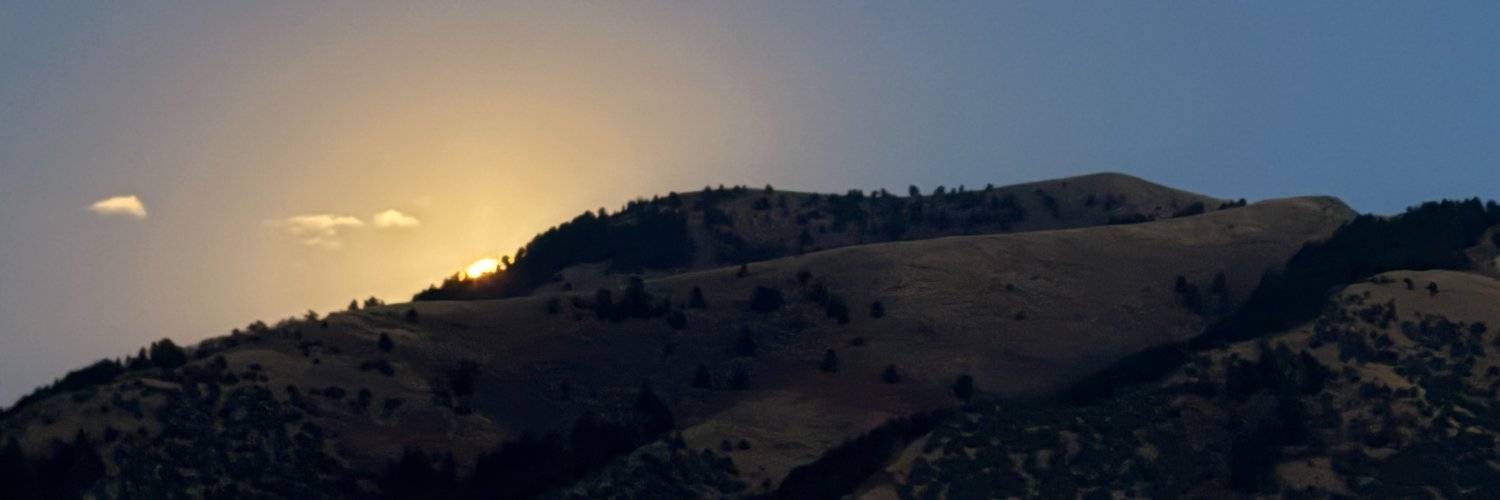 MEATrition.com 🥩 - Travis Statham M.S. Nutri-Sci's banner