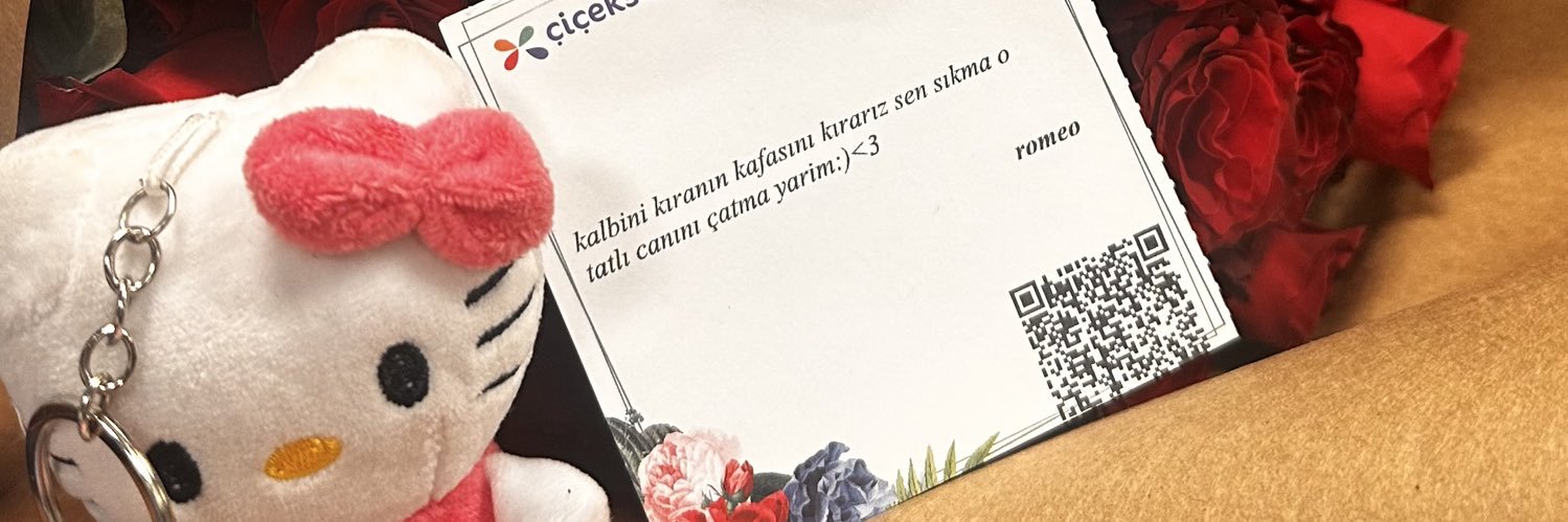 Hatice's banner