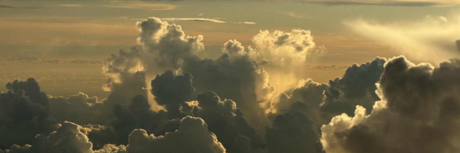 Paloma Valencia L's banner
