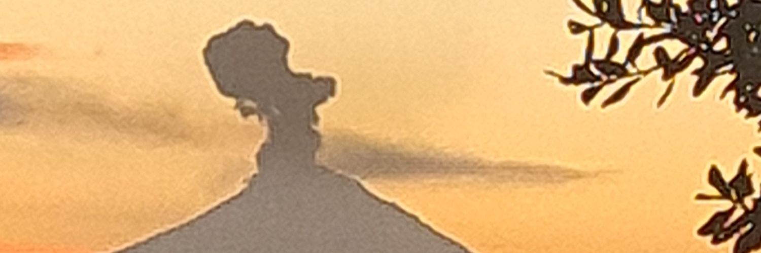 Josefina Martín's banner