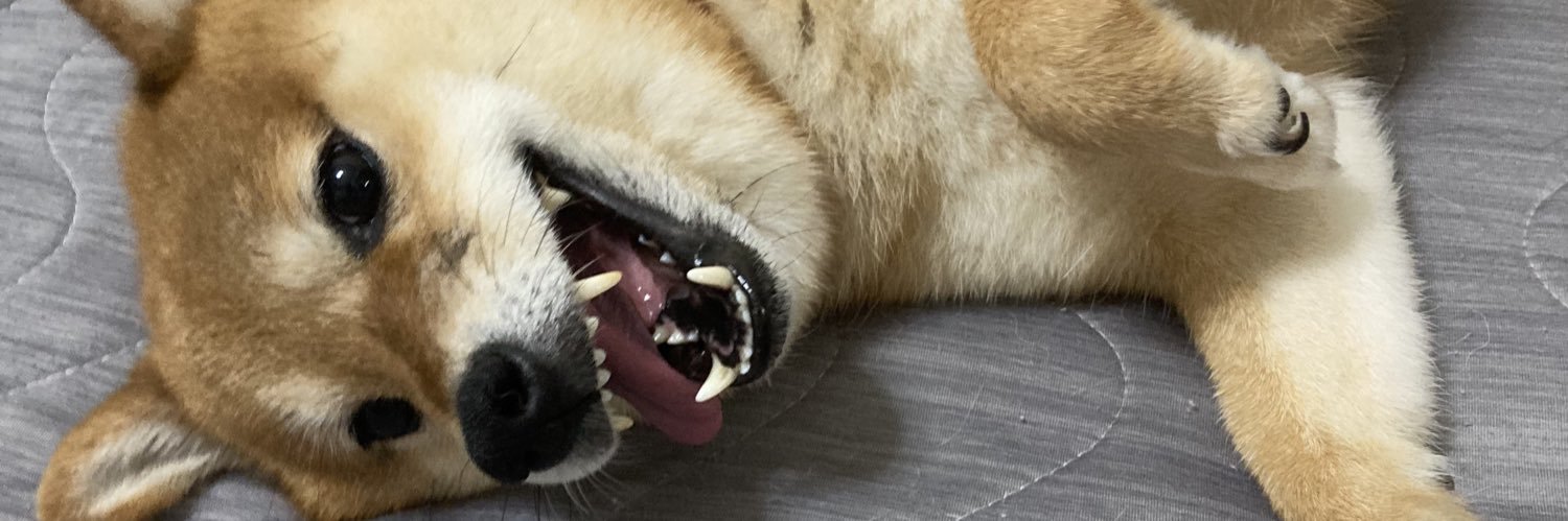 柴犬 ポン2's banner