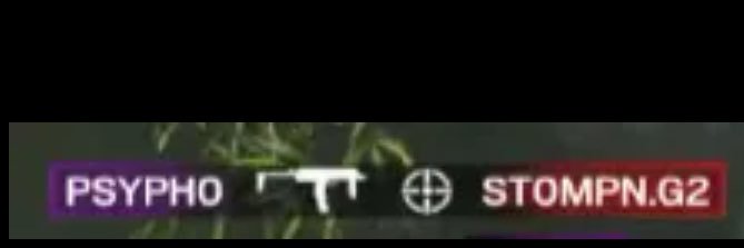 100T PsyPho's banner