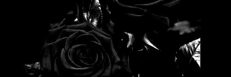 •° 御姊 𝓢.𝓛 南伊's banner