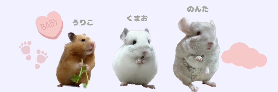 くまおのままお's banner