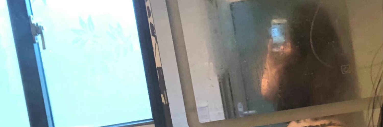东坡先生🇻's banner