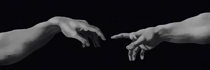 Papito®'s banner