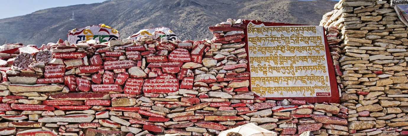 Tibetan Buddhism's banner