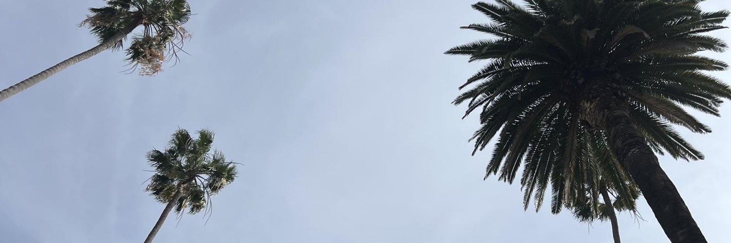 中国's banner
