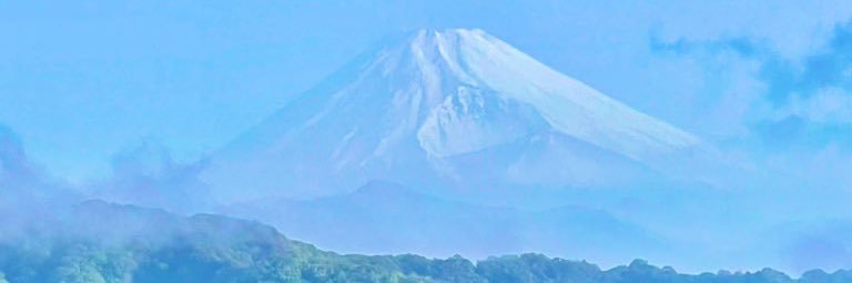 ♡ 𝙱𝚎𝚎 ♡'s banner