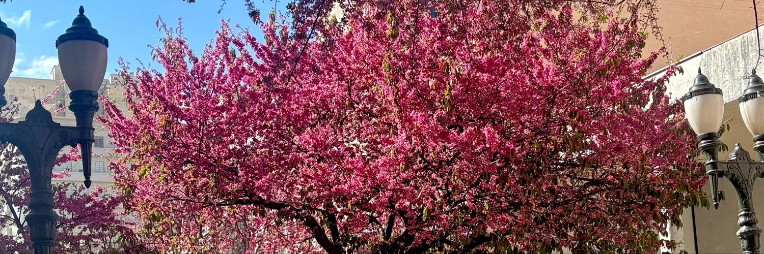 Jane 💫 🌸's banner