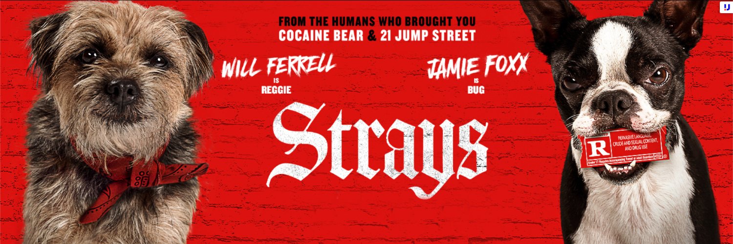 Strays's banner
