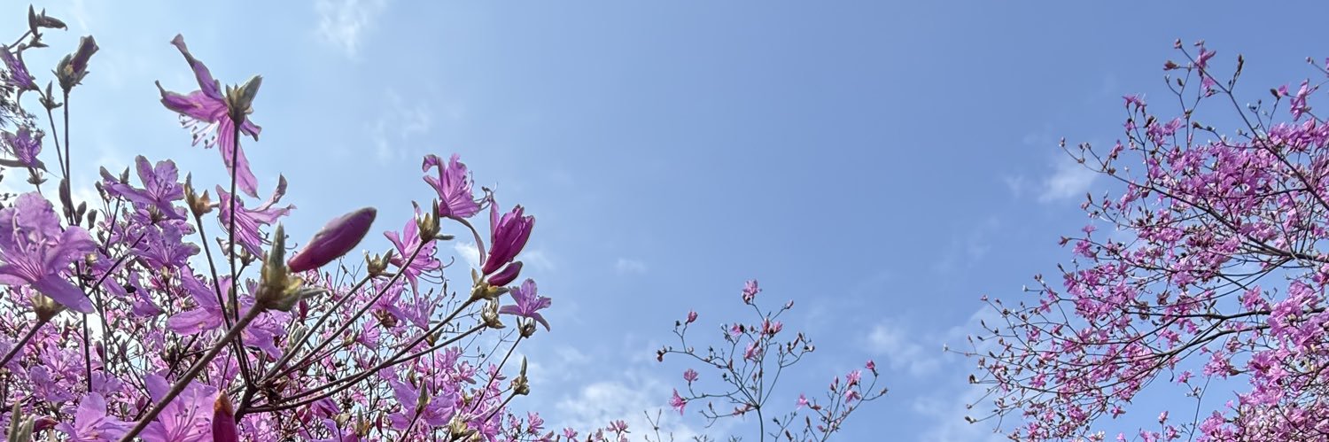 くーみん(ku-min)'s banner