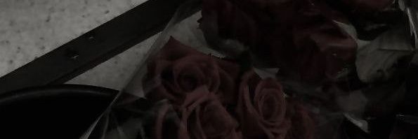 Hoku's banner