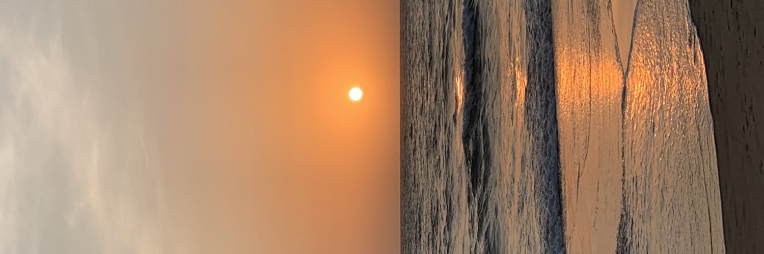 Roshan V L's banner
