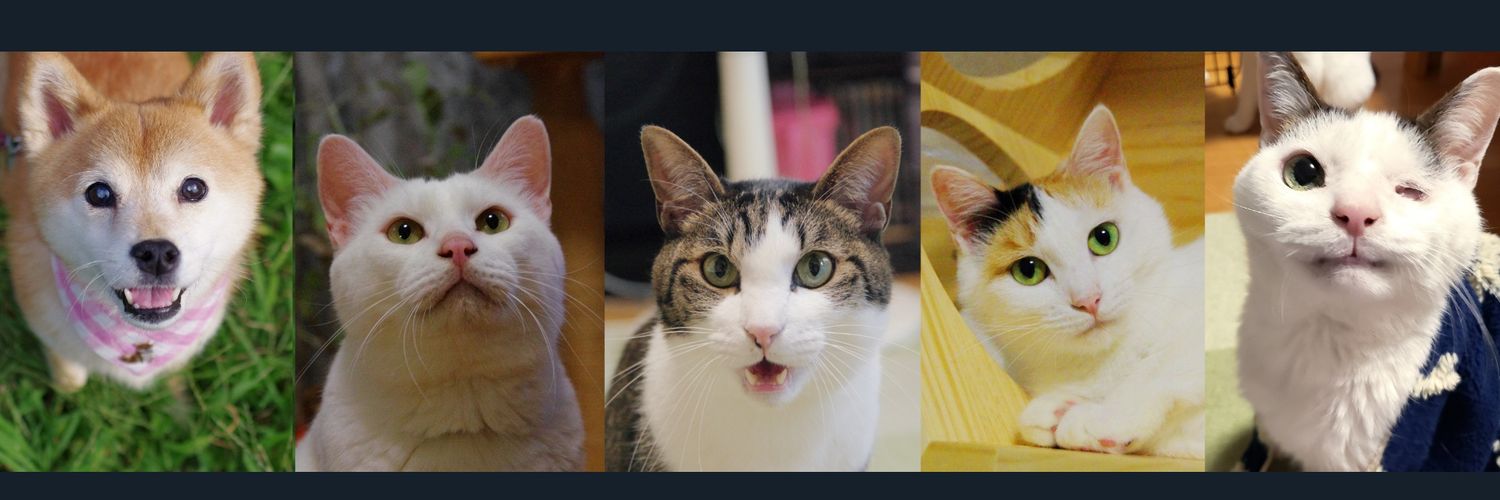 せぴうるにゃん's banner