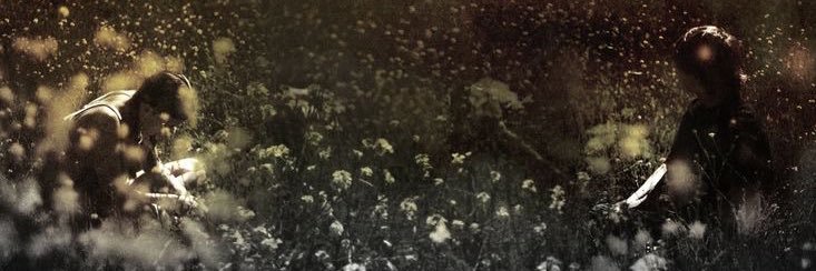 nobb's banner