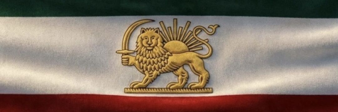 DamDam 🇮🇷's banner